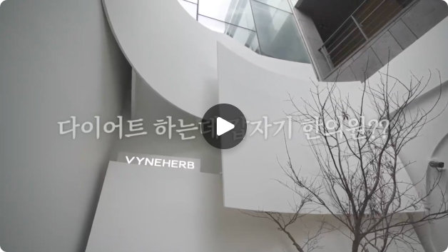 비디오